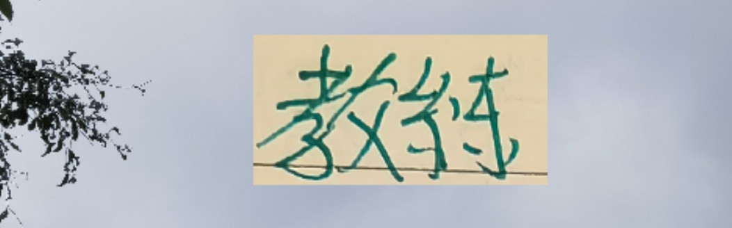 开云体育-越折腾越能拿冠军 ！五年来海港4次换教练 4夺冠军