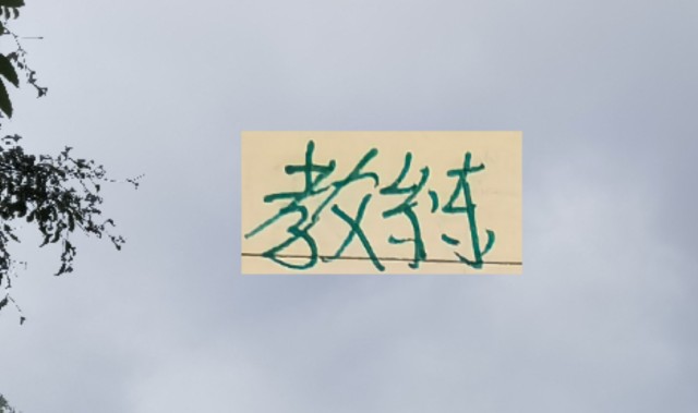 开云体育-越折腾越能拿冠军 ！五年来海港4次换教练 4夺冠军